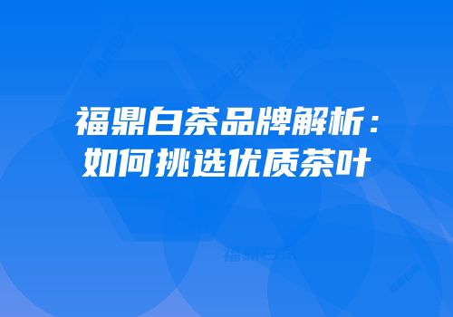 福鼎白茶品牌解析：如何挑选优质茶叶