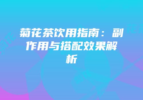 菊花茶饮用指南：副作用与搭配效果解析