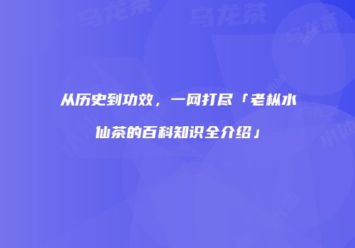 从历史到功效，一网打尽「老枞水仙茶的百科知识全介绍」