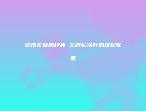 玫瑰花茶的种类_怎样区别好的玫瑰花茶