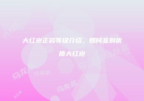 大红袍正岩等级介绍，如何鉴别优质大红袍