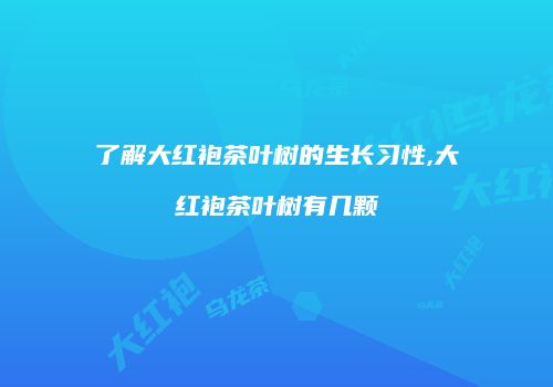 了解大红袍茶叶树的生长习性,大红袍茶叶树有几颗