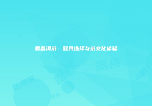 煮普洱茶：器具选择与茶文化体验