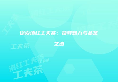 探索滇红工夫茶：独特魅力与品鉴之道