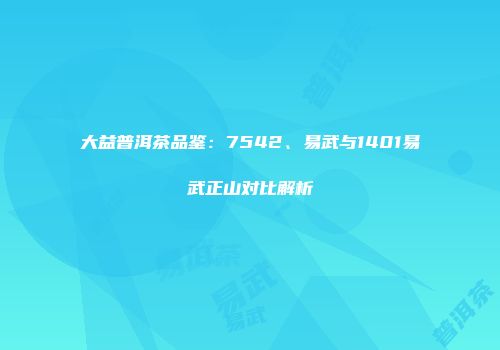 大益普洱茶品鉴：7542、易武与1401易武正山对比解析