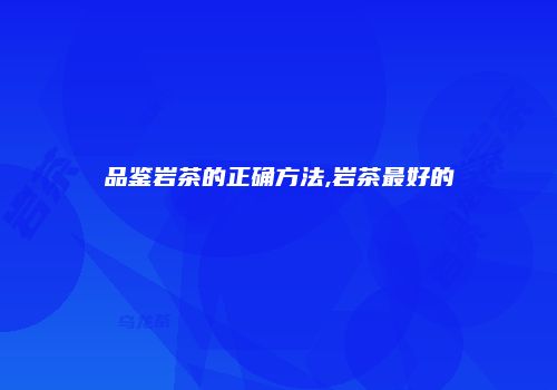 品鉴岩茶的正确方法,岩茶最好的