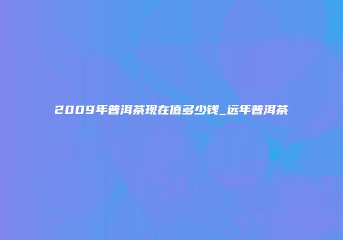 2009年普洱茶现在值多少钱_远年普洱茶