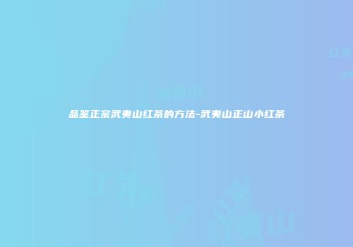 品鉴正宗武夷山红茶的方法-武夷山正山小红茶