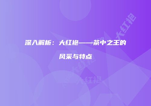 深入解析：大红袍——茶中之王的风采与特点