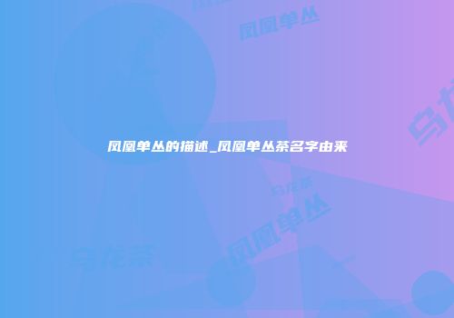 凤凰单丛的描述_凤凰单丛茶名字由来