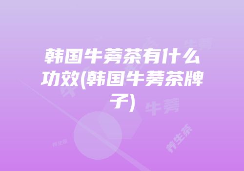 韩国牛蒡茶有什么功效(韩国牛蒡茶牌子)