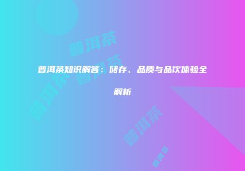 普洱茶知识解答：储存、品质与品饮体验全解析