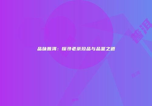 品味普洱：探寻老茶珍品与品鉴之道