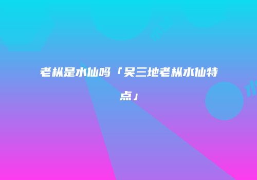 老枞是水仙吗「吴三地老枞水仙特点」