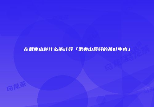 在武夷山种什么茶叶好「武夷山最好的茶叶牛肉」