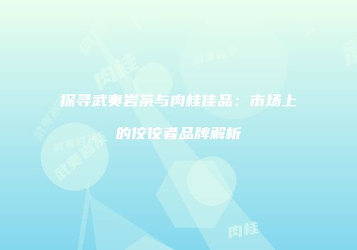 探寻武夷岩茶与肉桂佳品：市场上的佼佼者品牌解析