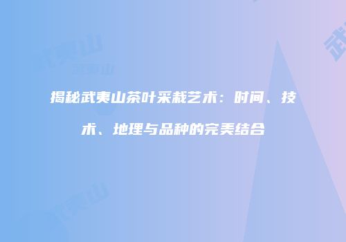 揭秘武夷山茶叶采栽艺术：时间、技术、地理与品种的完美结合