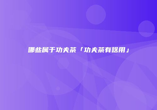 哪些属于功夫茶「功夫茶有啥用」
