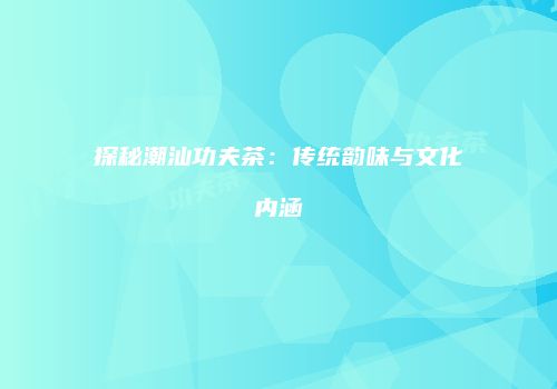 探秘潮汕功夫茶：传统韵味与文化内涵