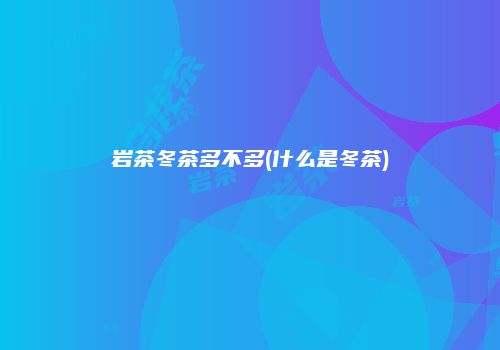 岩茶冬茶多不多(什么是冬茶)