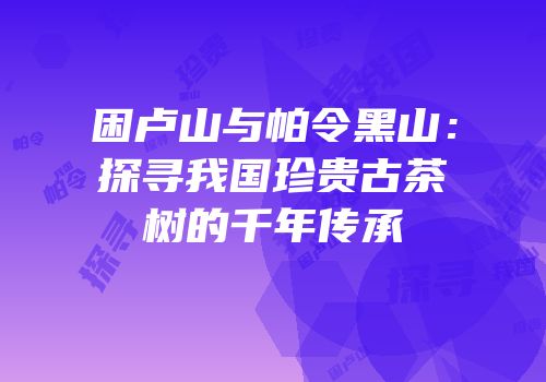 困卢山与帕令黑山：探寻我国珍贵古茶树的千年传承