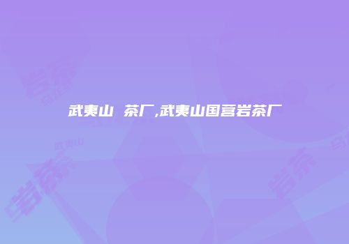 武夷山 茶厂,武夷山国营岩茶厂