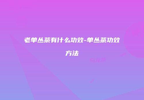 老单丛茶有什么功效-单丛茶功效方法