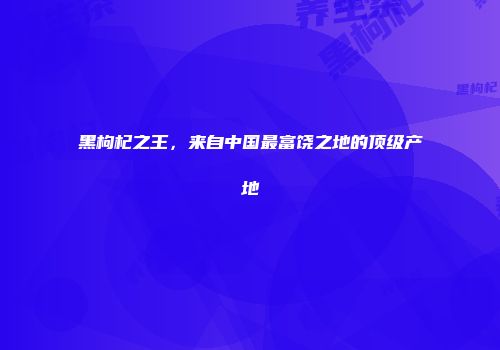 黑枸杞之王，来自中国最富饶之地的顶级产地