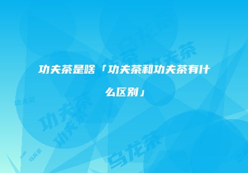 功夫茶是啥「功夫茶和功夫茶有什么区别」