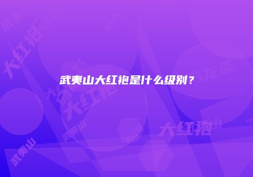 武夷山大红袍是什么级别？