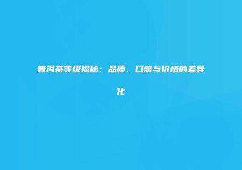 普洱茶等级揭秘：品质、口感与价格的差异化