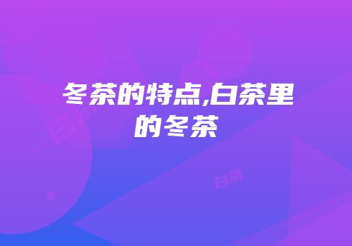 冬茶的特点,白茶里的冬茶