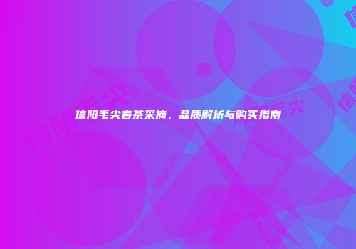 信阳毛尖春茶采摘、品质解析与购买指南