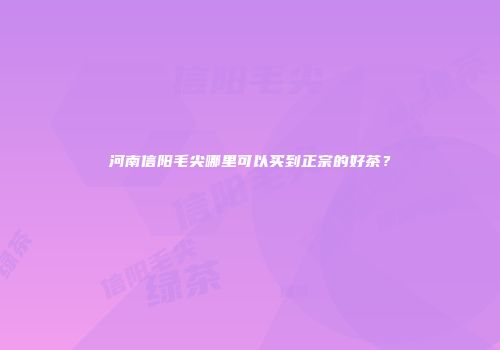 河南信阳毛尖哪里可以买到正宗的好茶？