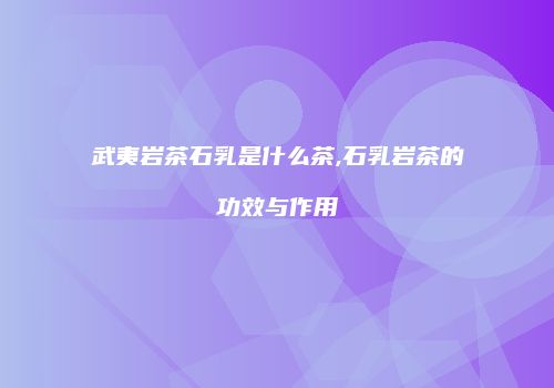 武夷岩茶石乳是什么茶,石乳岩茶的功效与作用