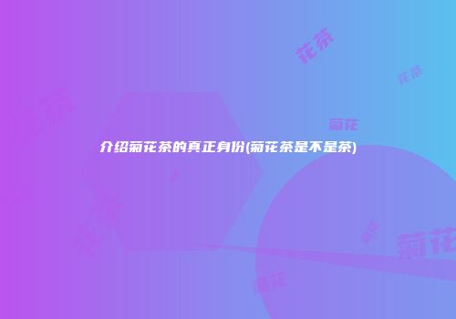 介绍菊花茶的真正身份(菊花茶是不是茶)