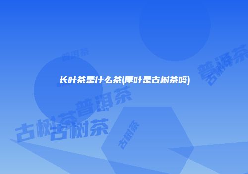 长叶茶是什么茶(厚叶是古树茶吗)