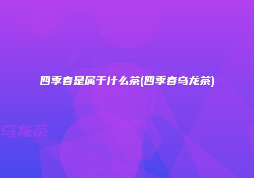 四季春是属于什么茶(四季春乌龙茶)