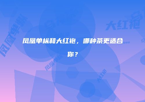 凤凰单枞和大红袍，哪种茶更适合你？