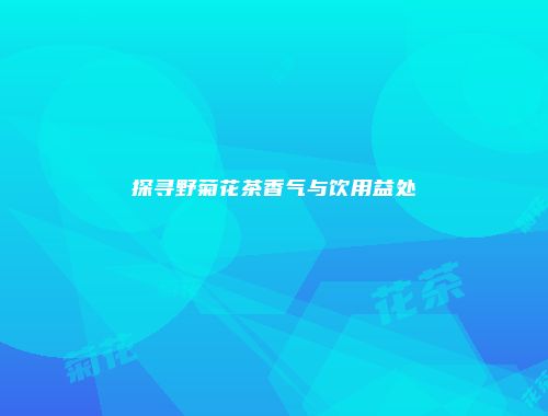 探寻野菊花茶香气与饮用益处