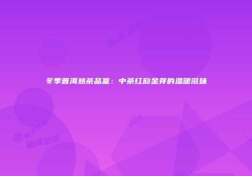 冬季普洱熟茶品鉴：中茶红韵金芽的温暖滋味