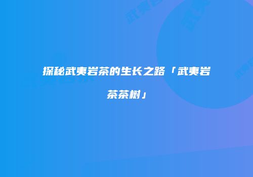探秘武夷岩茶的生长之路「武夷岩茶茶树」