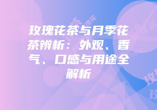 玫瑰花茶与月季花茶辨析：外观、香气、口感与用途全解析