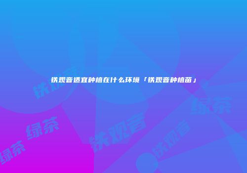铁观音适宜种植在什么环境「铁观音种植苗」