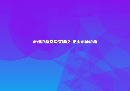 市场价格及购买建议-正山水仙价格