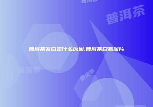 普洱茶发白是什么原因,普洱茶白霜图片