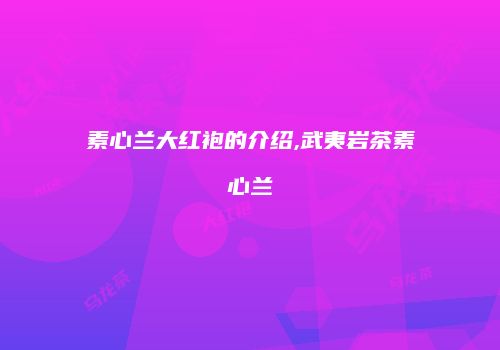 素心兰大红袍的介绍,武夷岩茶素心兰