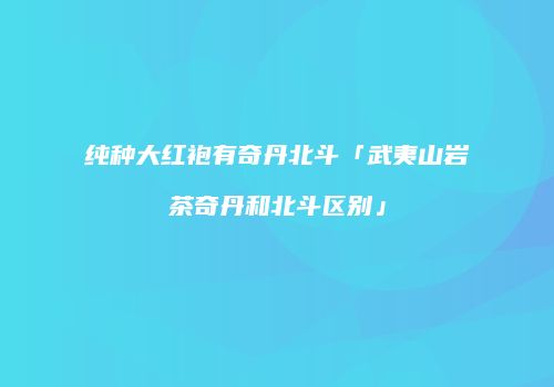 纯种大红袍有奇丹北斗「武夷山岩茶奇丹和北斗区别」