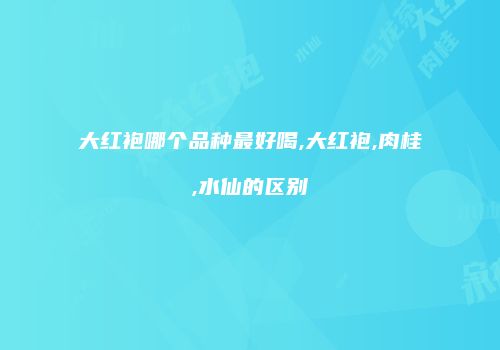 大红袍哪个品种最好喝,大红袍,肉桂,水仙的区别