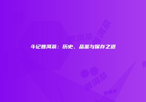 斗记普洱茶：历史、品鉴与保存之道